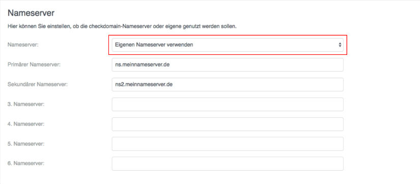 Wie hinterlege ich eigene Nameserver? - Echter Service - checkdomain