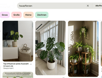 Mehrere Zimmerpflanzen in Töpfen stehen in hellen Innenräumen, nahe Fenstern und auf einem Regal.