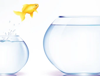 Von WorPress.com auf eigene Domain umziehen