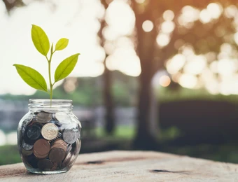 Glas mit Münzen; aus dem Glas sprießt ein grüner Spross; steht auf einem Holztisch, unscharfer Hintergrund.