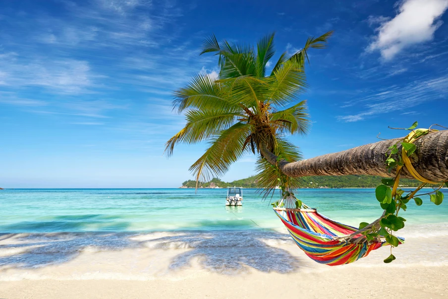 Palme neigt sich über weißen Sandstrand; bunte Hängematte hängt vom Stamm, türkisblaues Meer und blauer Himmel.