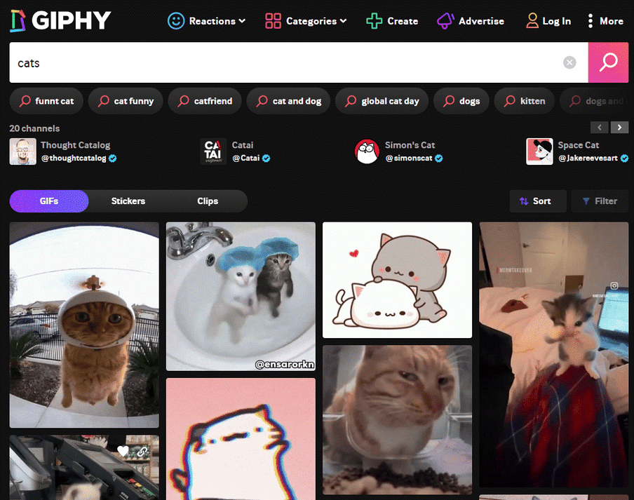 Screenshot einer GIPHY-Suchseite mit dem Suchbegriff 'cats'; mehrere Katzen-GIF-Vorschaubilder in Kästchen.
