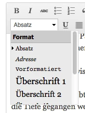 Im checkdomain-Blog verwenden wir für Zwischenüberschriften die "Überschrift 2".