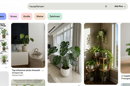 Mehrere Zimmerpflanzen in Töpfen stehen in hellen Innenräumen, nahe Fenstern und auf einem Regal.